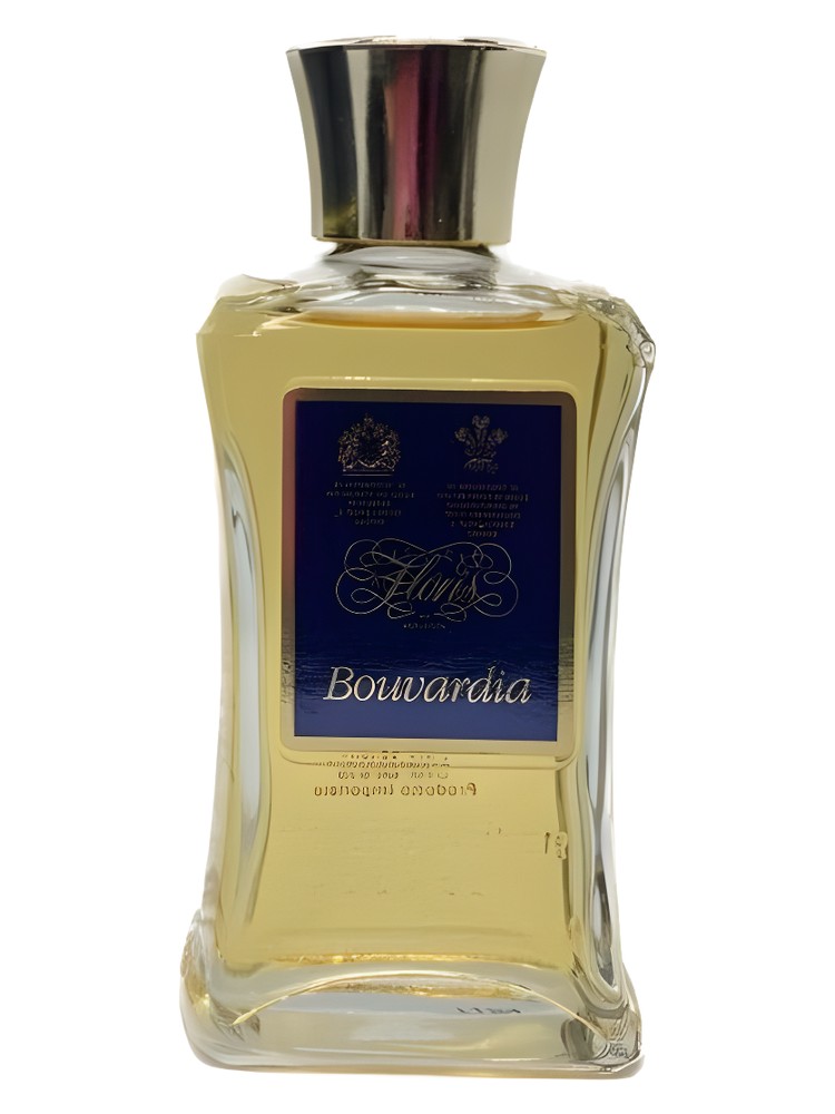 Bouvardia