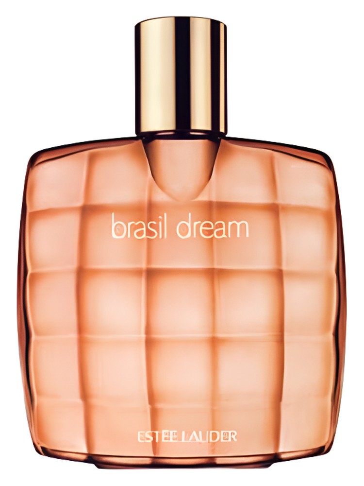 Brasil Dream