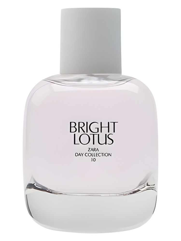 Bright Lotus