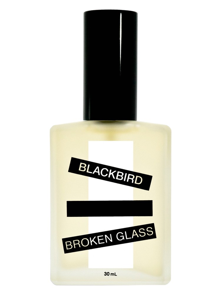 Broken Glass
