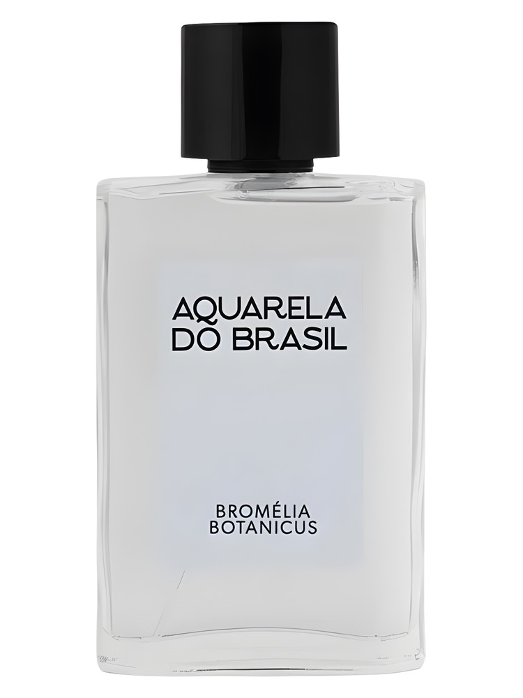 Bromélia Botanicus