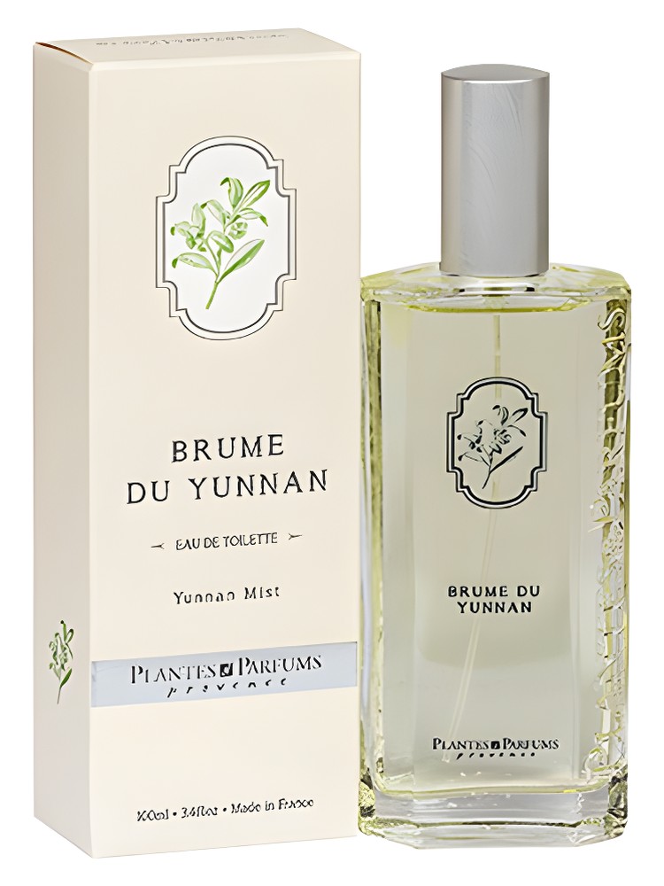 Brume du Yunnan