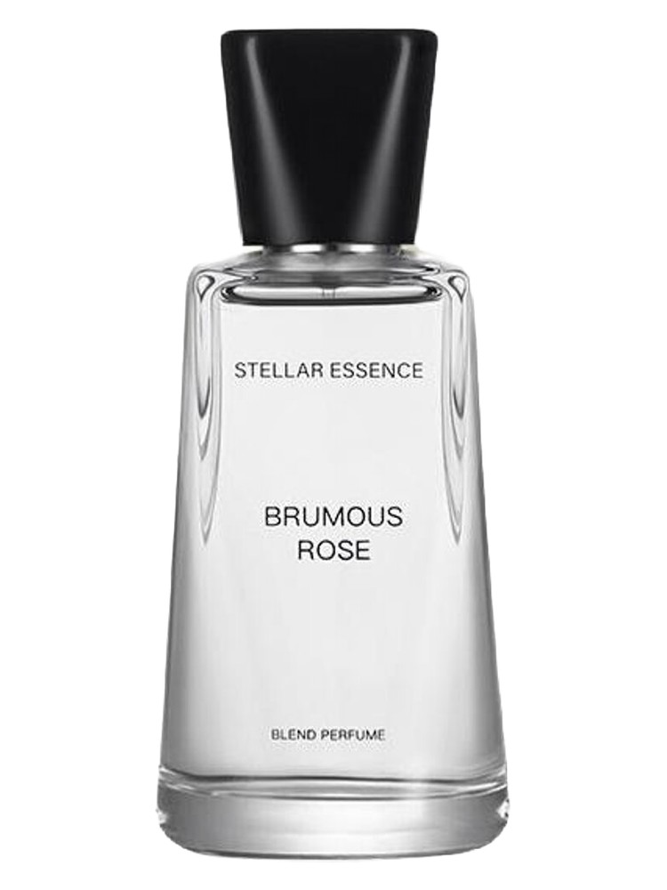 Brumous Rose