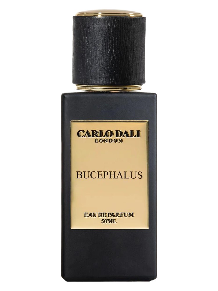 Bucephalus