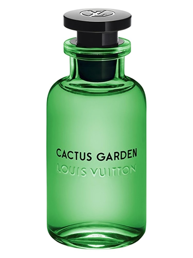 Cactus Garden