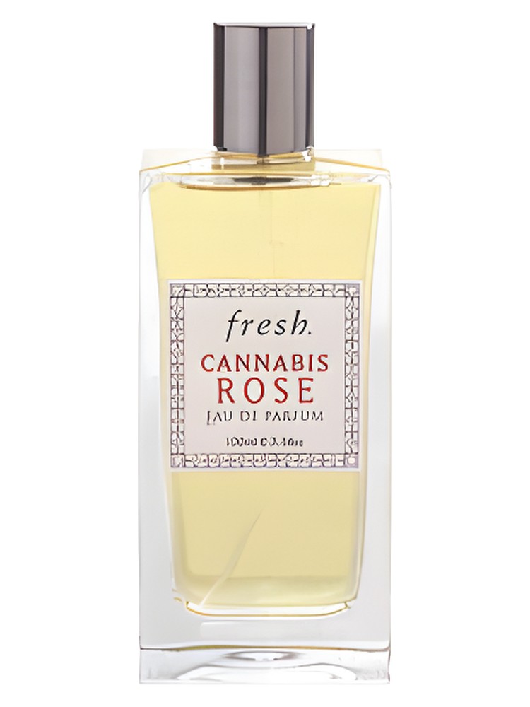 Cannabis Rose