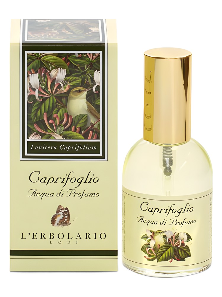 Caprifoglio