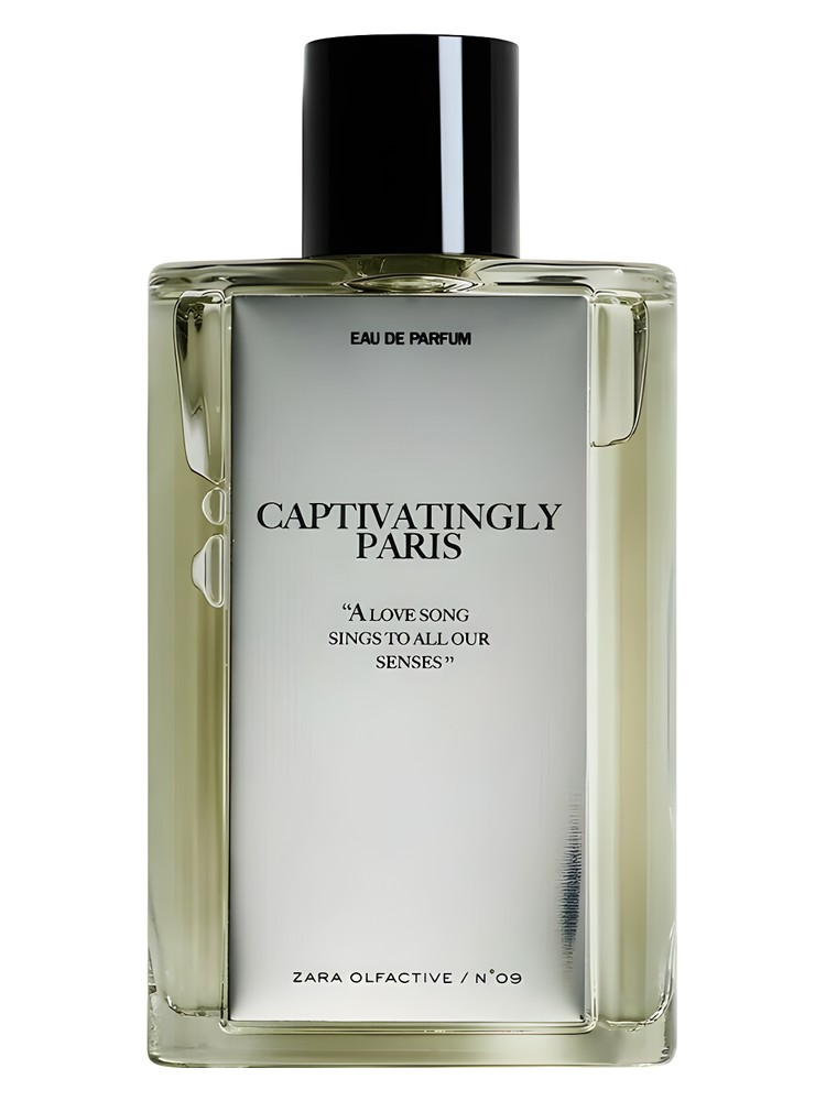 Captivatingly Paris
