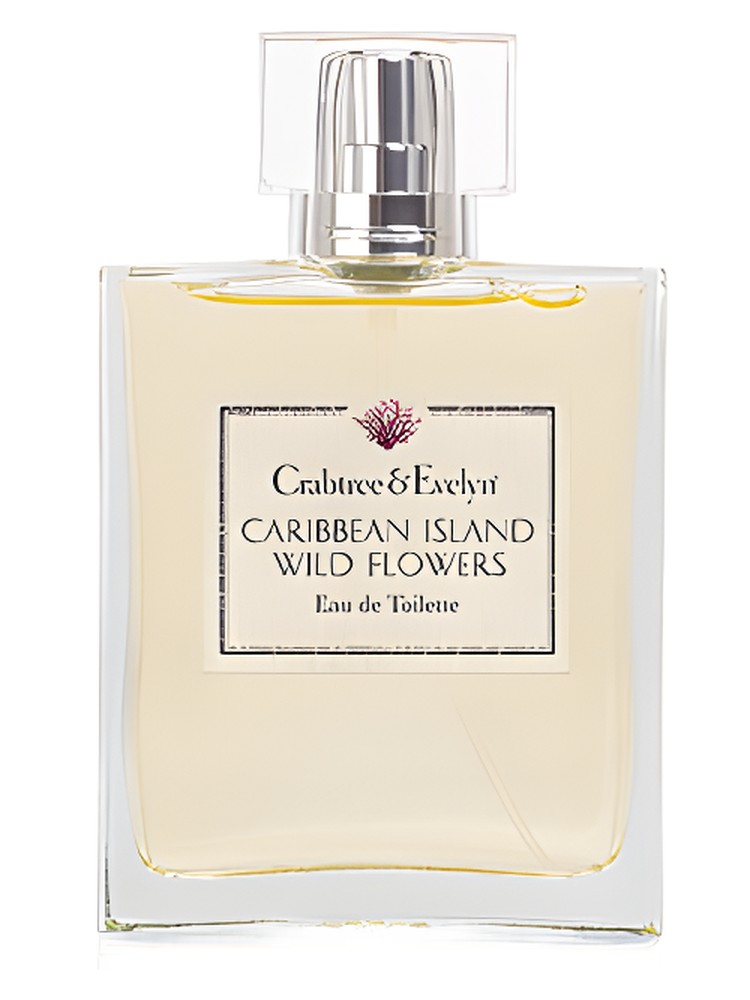 Caribbean Island Wild Flowers