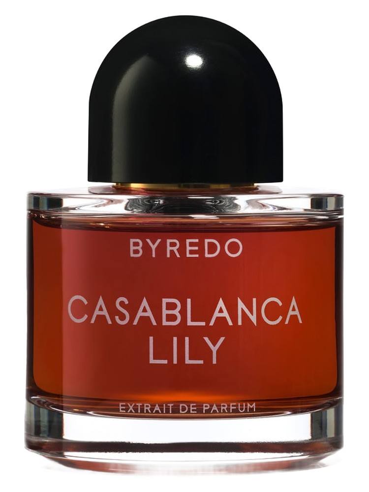 Casablanca Lily (2019)