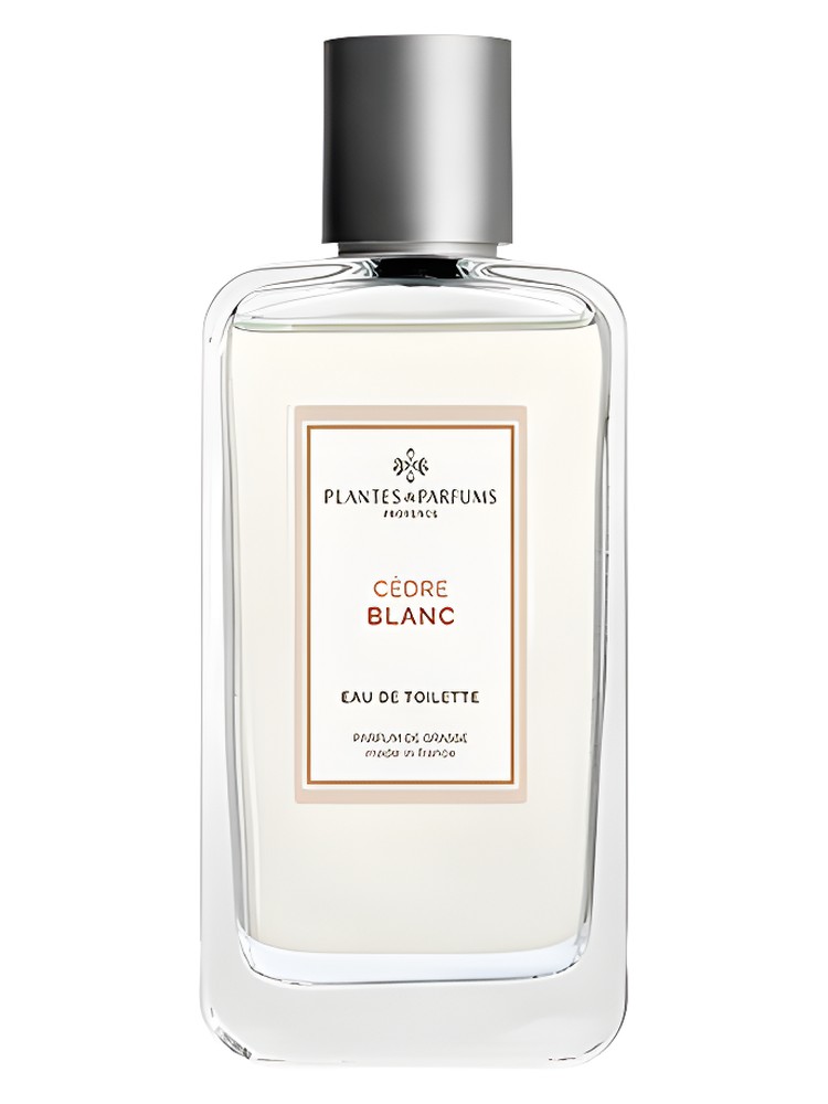 Cèdre Blanc
