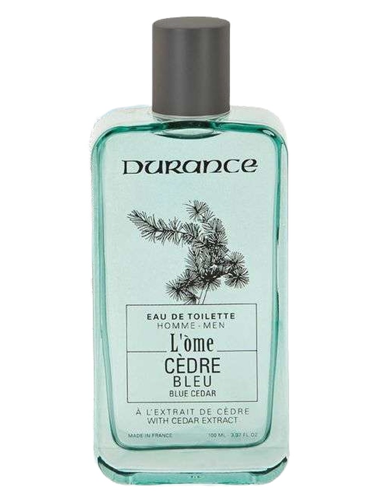 Cèdre Bleu