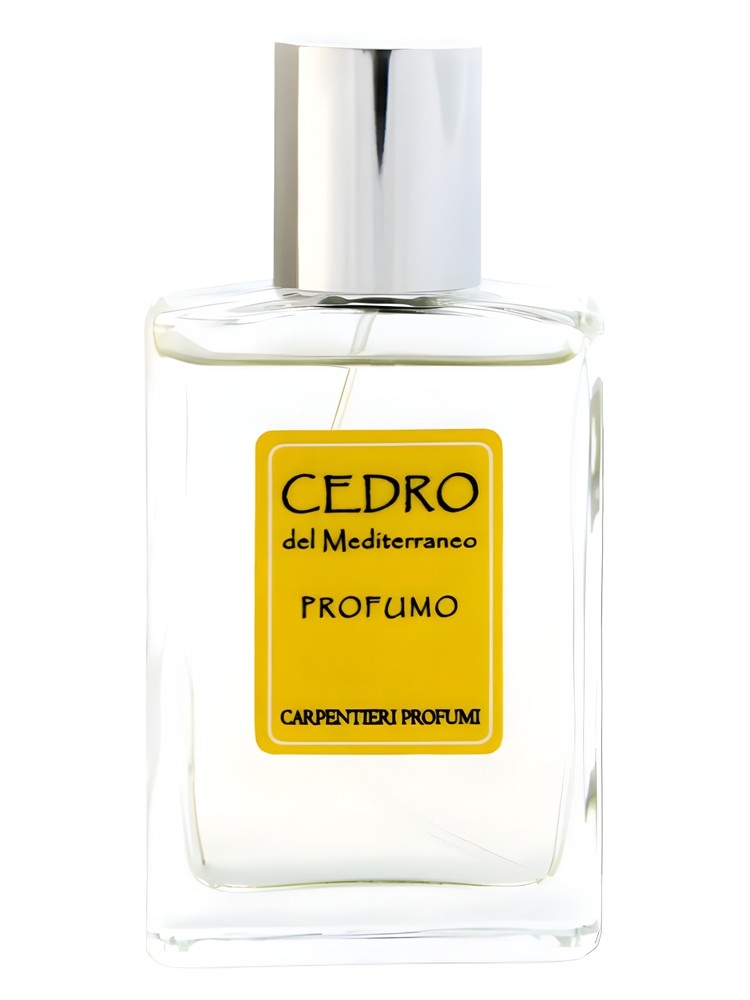 Cedro del Mediterraneo