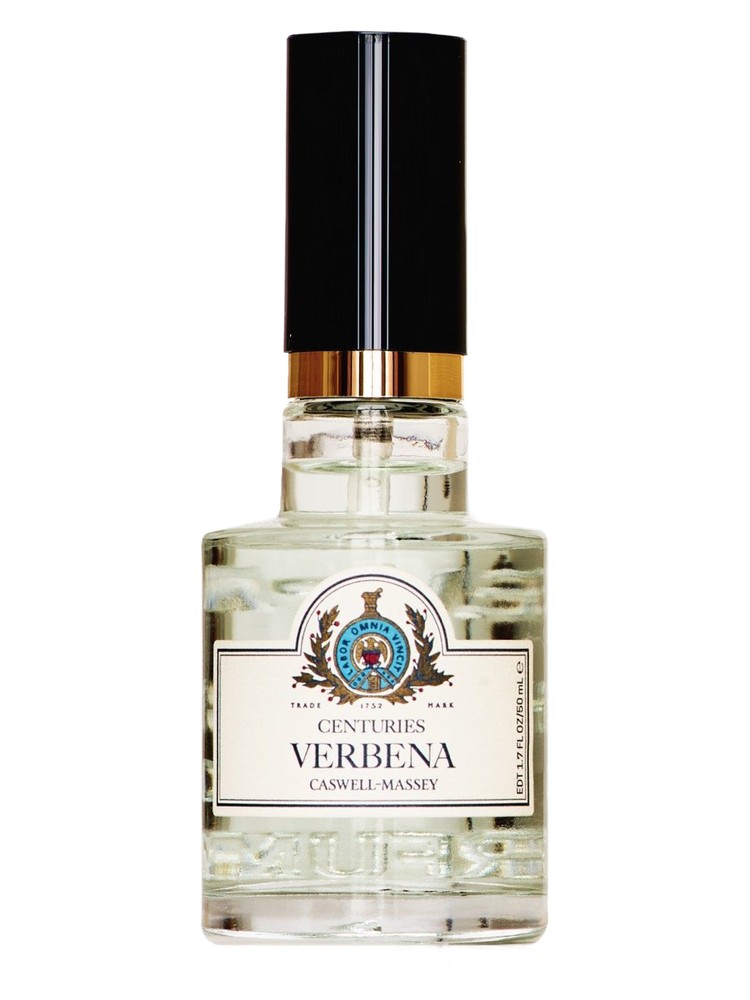 Centuries Verbena