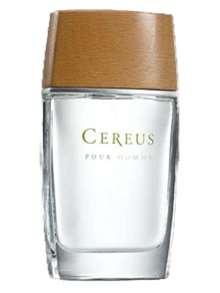 Cereus No.4