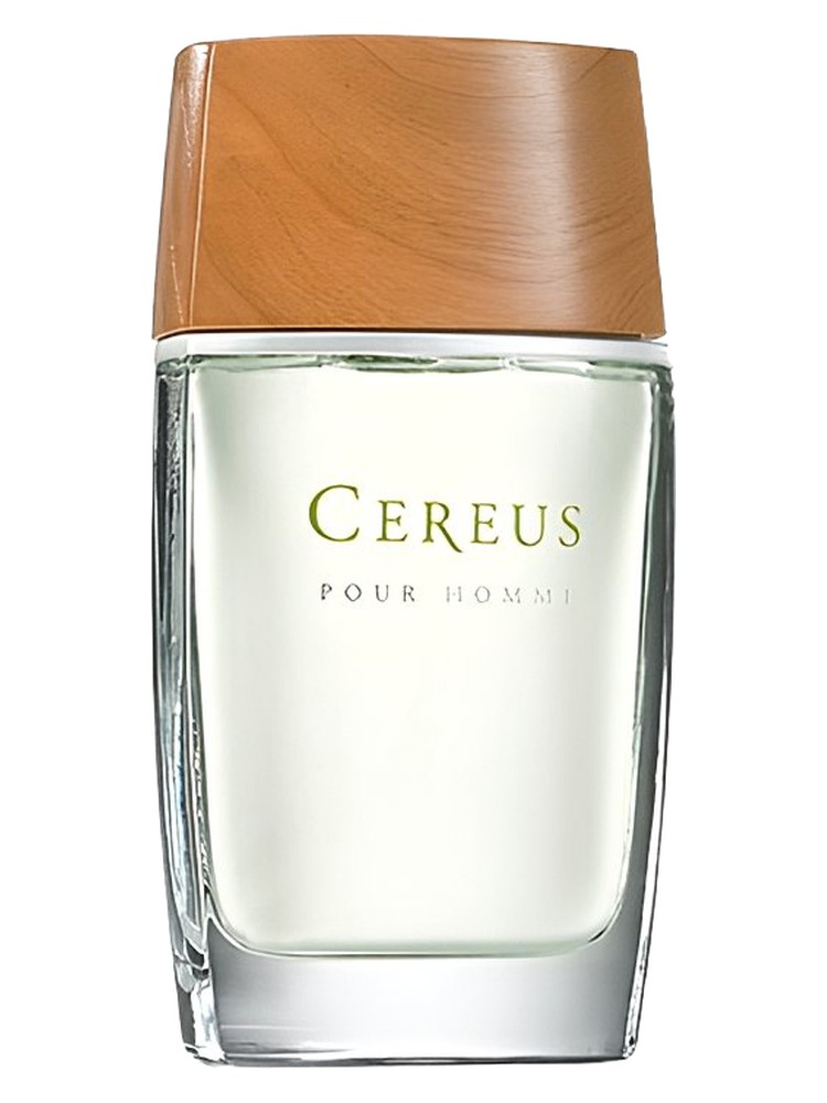 Cereus No. 6