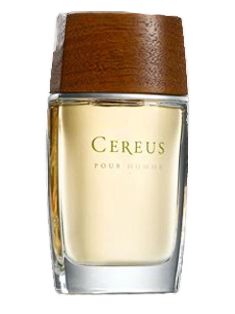 Cereus No.7