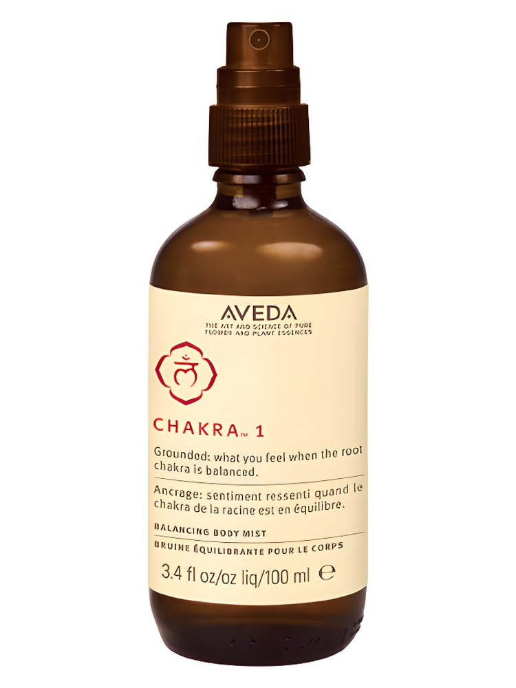 Chakra 1 Motivation