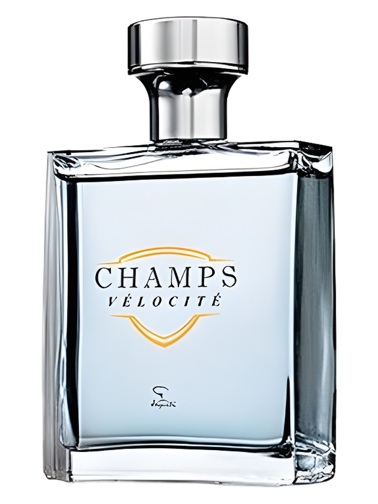 Champs Velocite