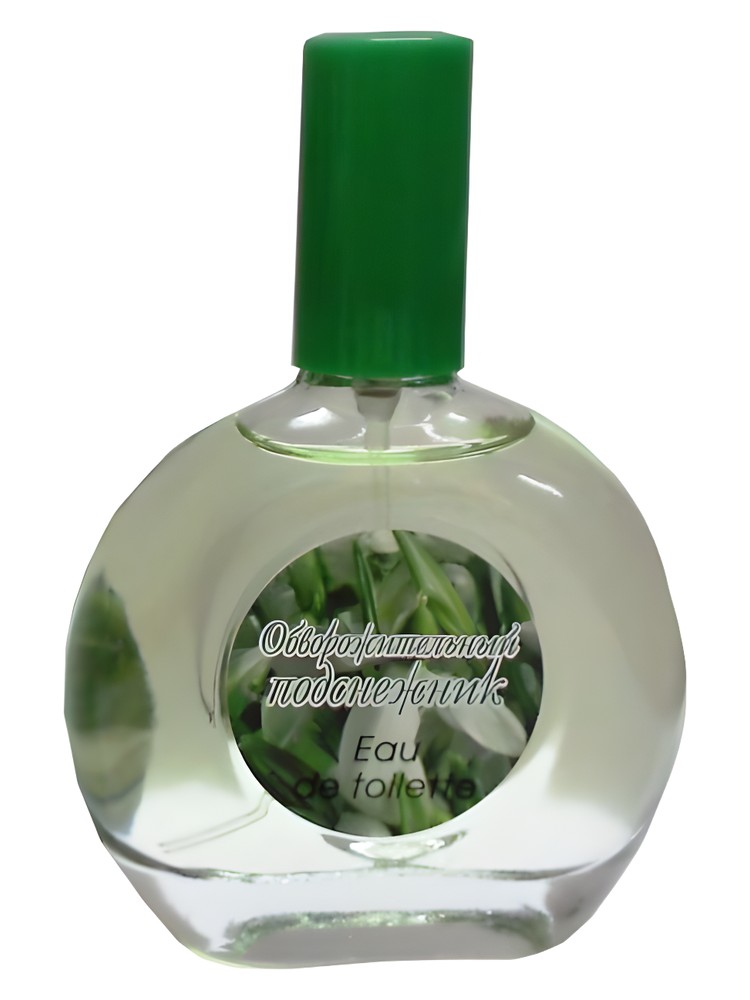 Charming Snowdrop