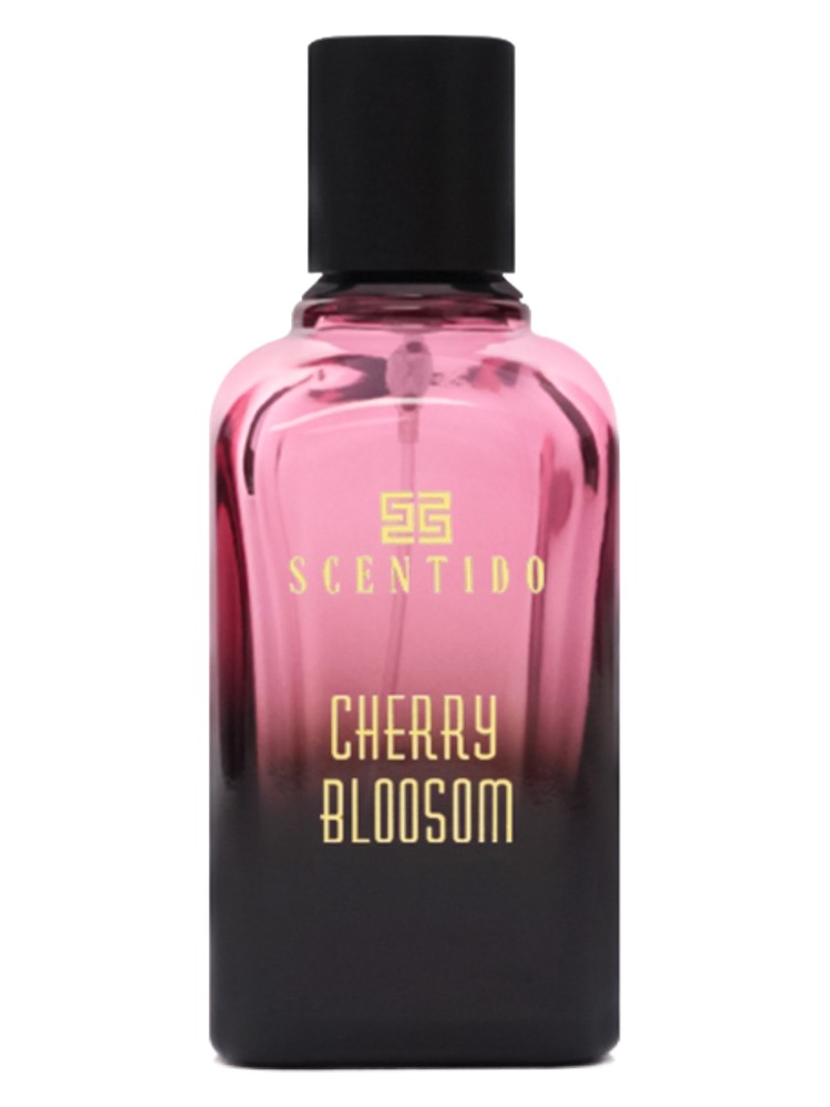 Cherry Blossom