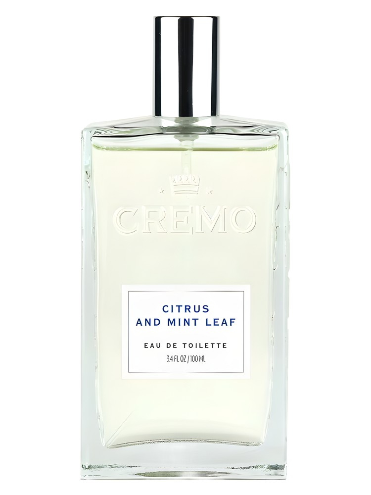 Citrus and Mint Leaf