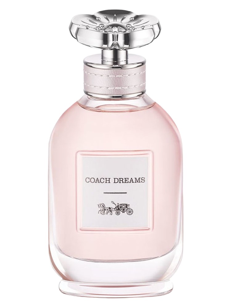 Coach Dreams