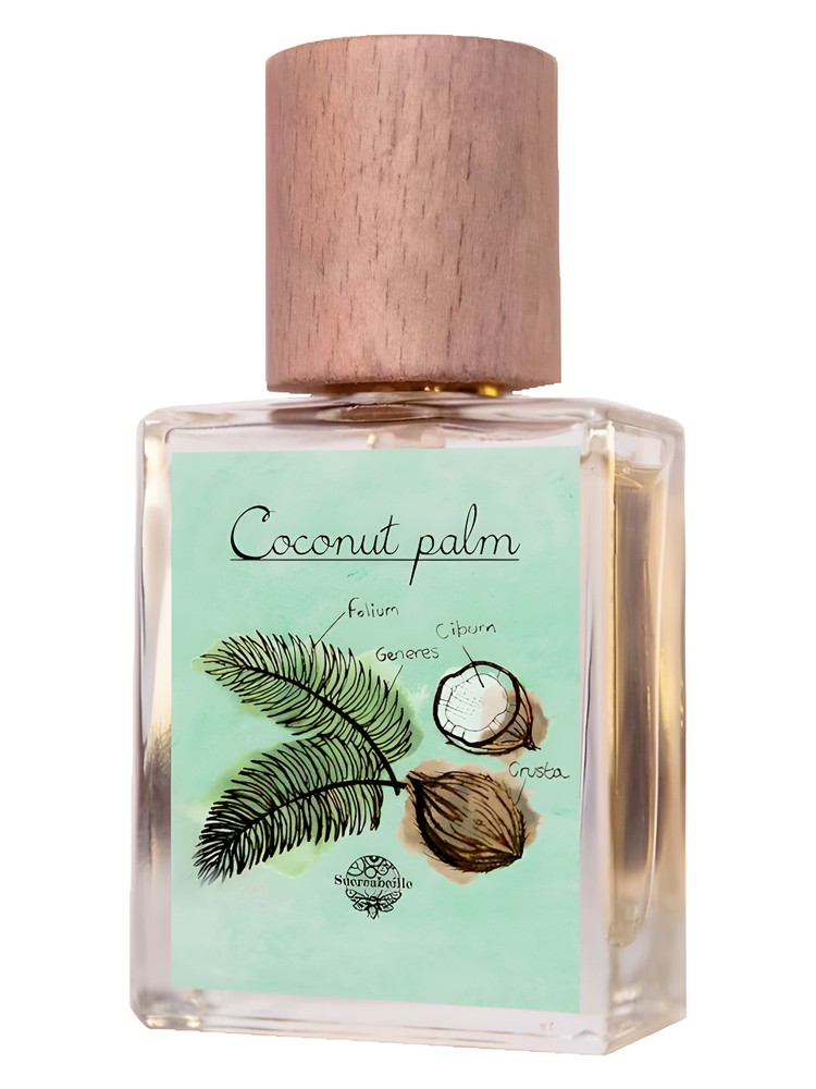 Coconut Palm