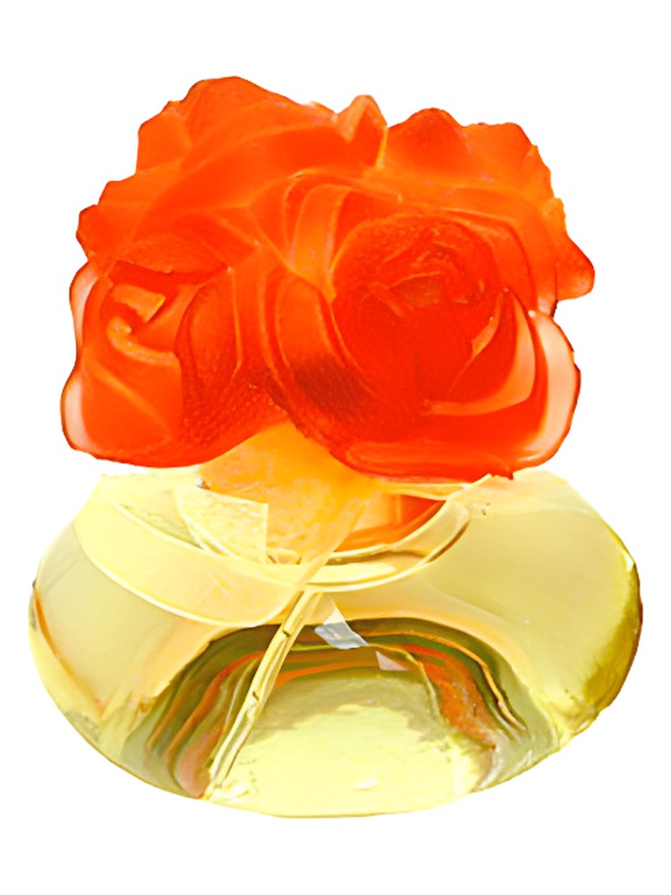 Collection De Roses