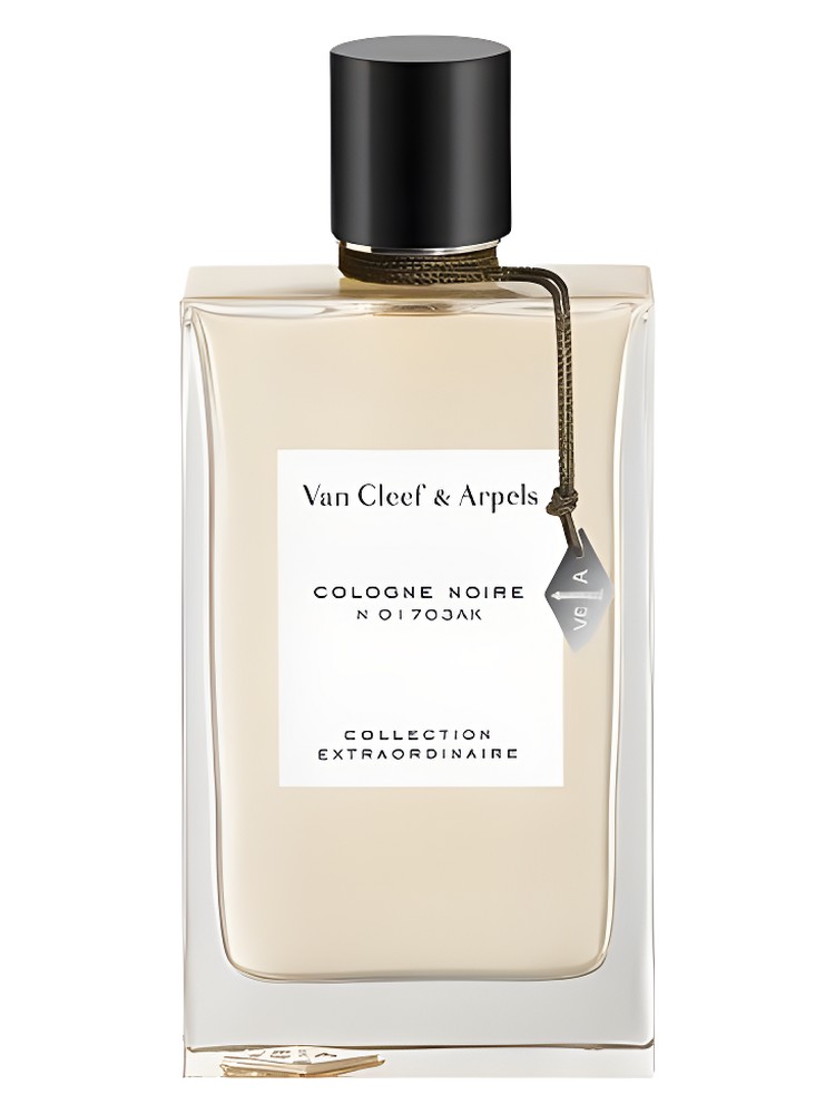Cologne Noire