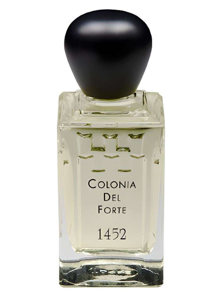 Colonia del Forte 1452