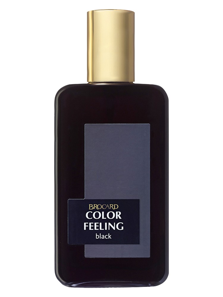 Color Feeling Black