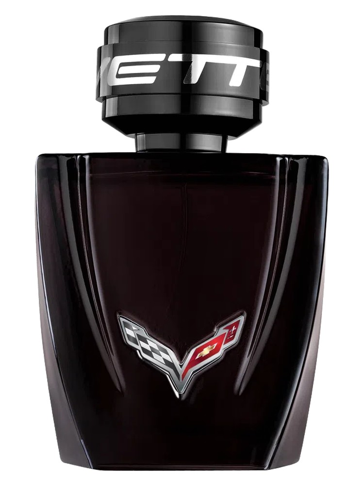 Corvette Night Drive