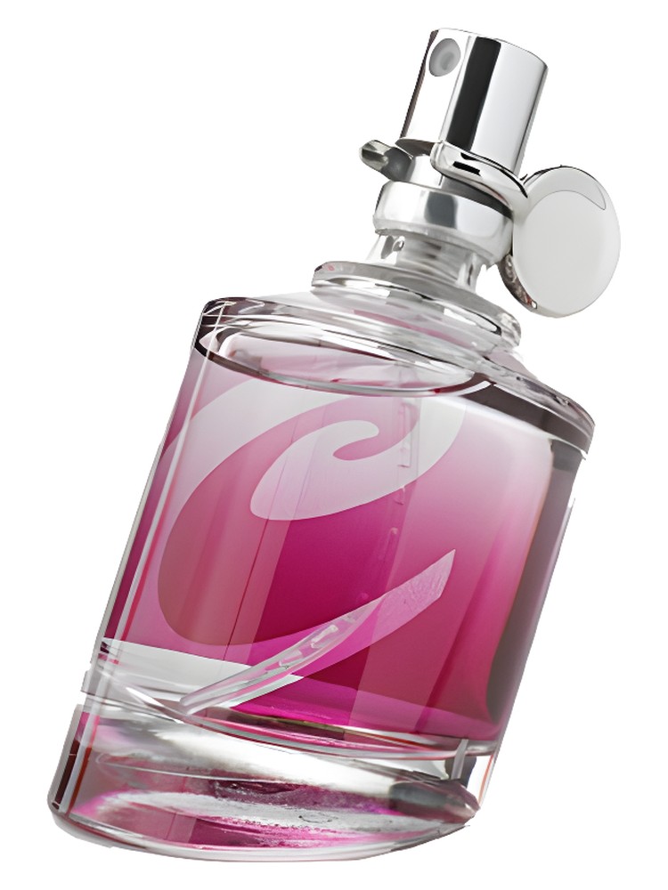 Curve Appeal for Women