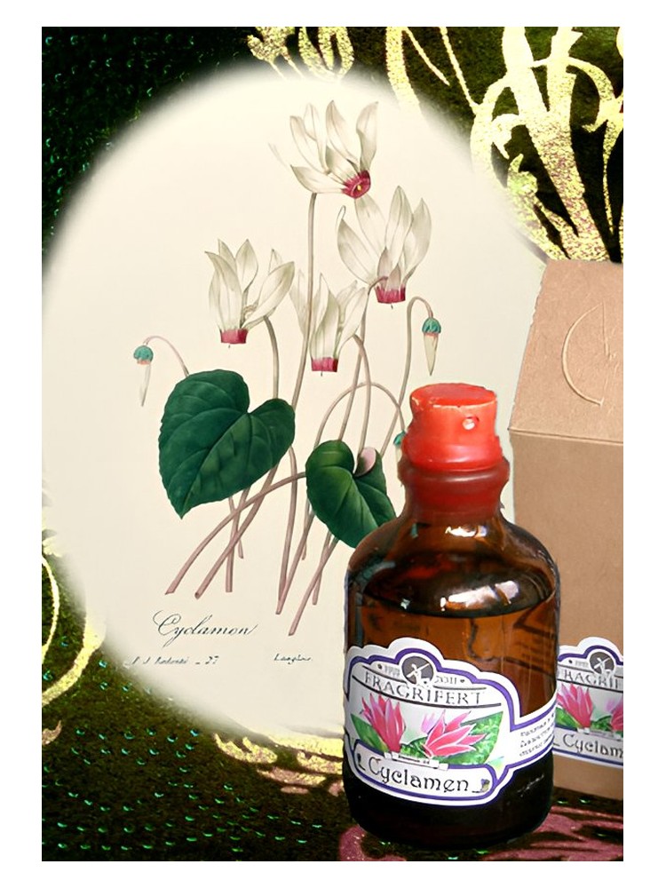 Cyclamen