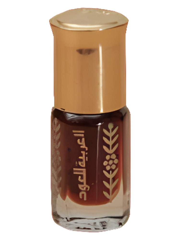 D/Oud Hindi Muattak
