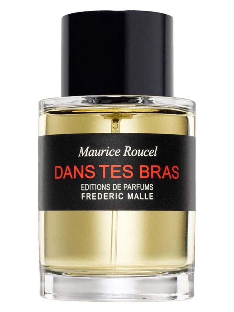 Dans Tes Bras