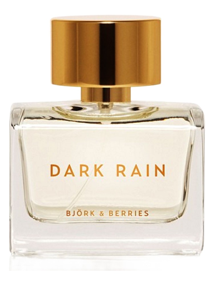 Dark Rain