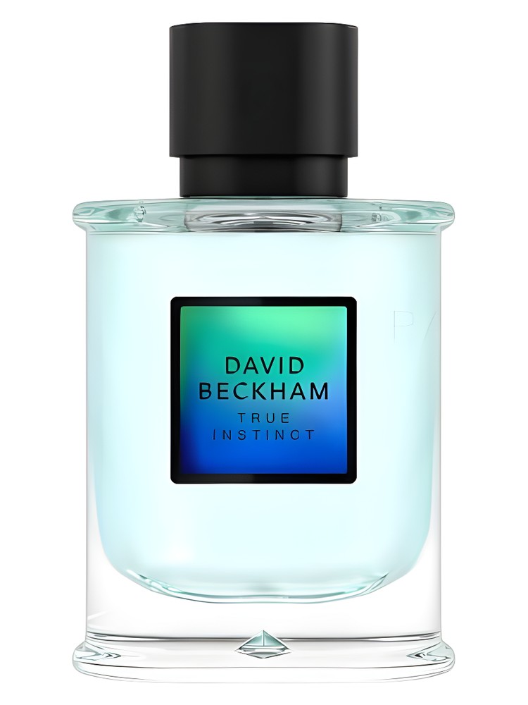 David Beckham True Instinct