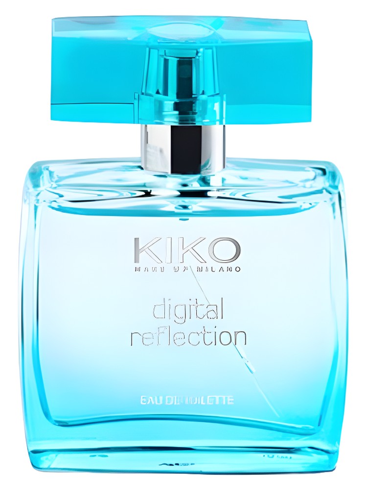 Digital Reflection