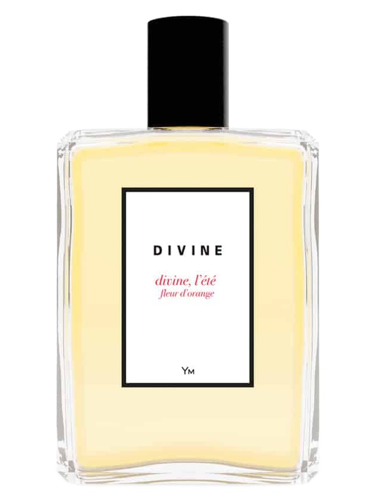 Divine, l'été fleur d'orange