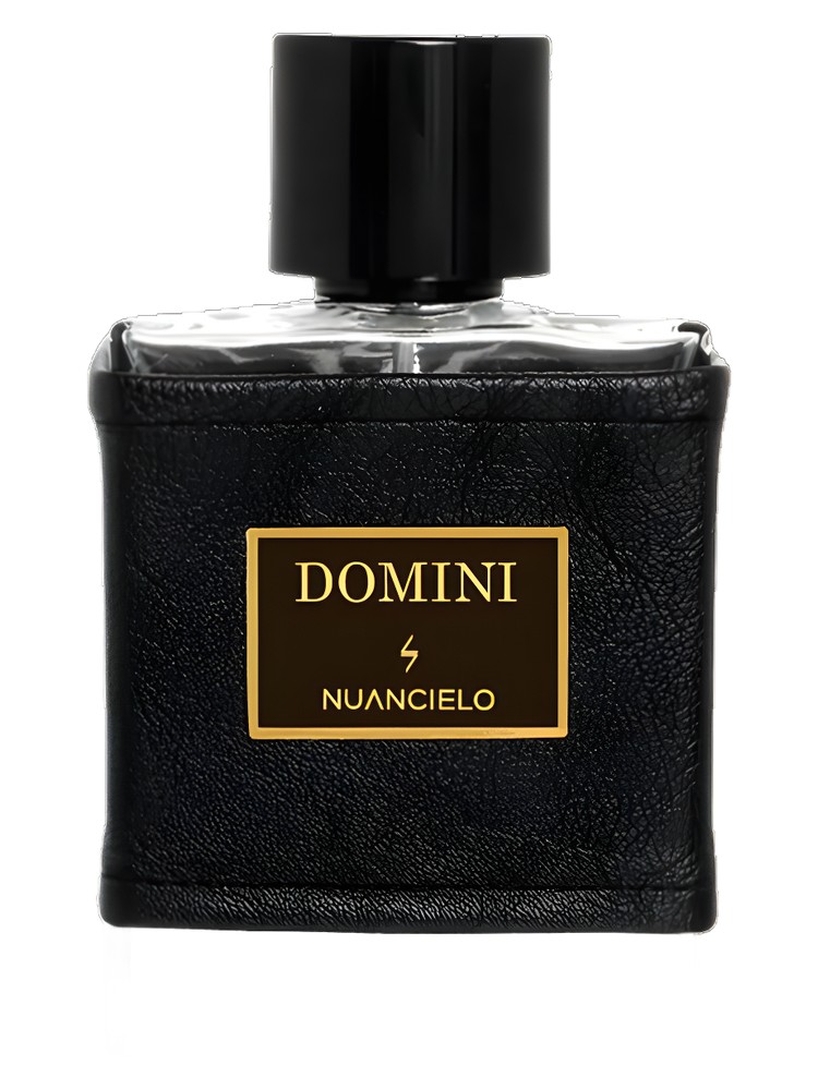 Domini