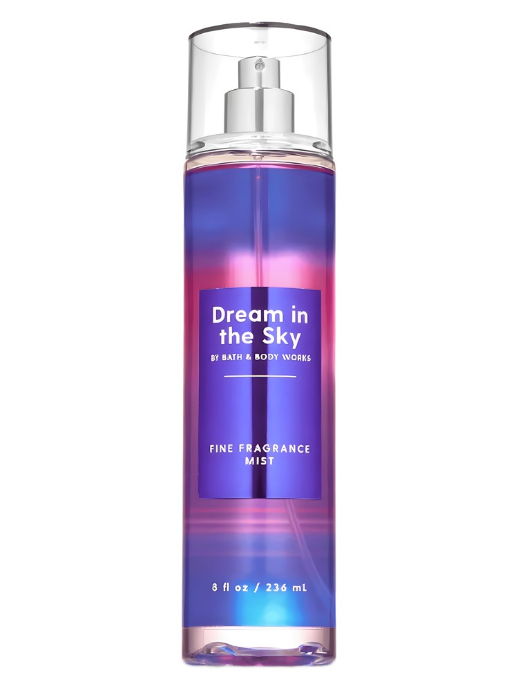 Dream In The Sky