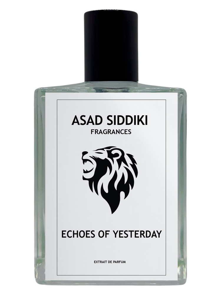 Echoes of Yesterday