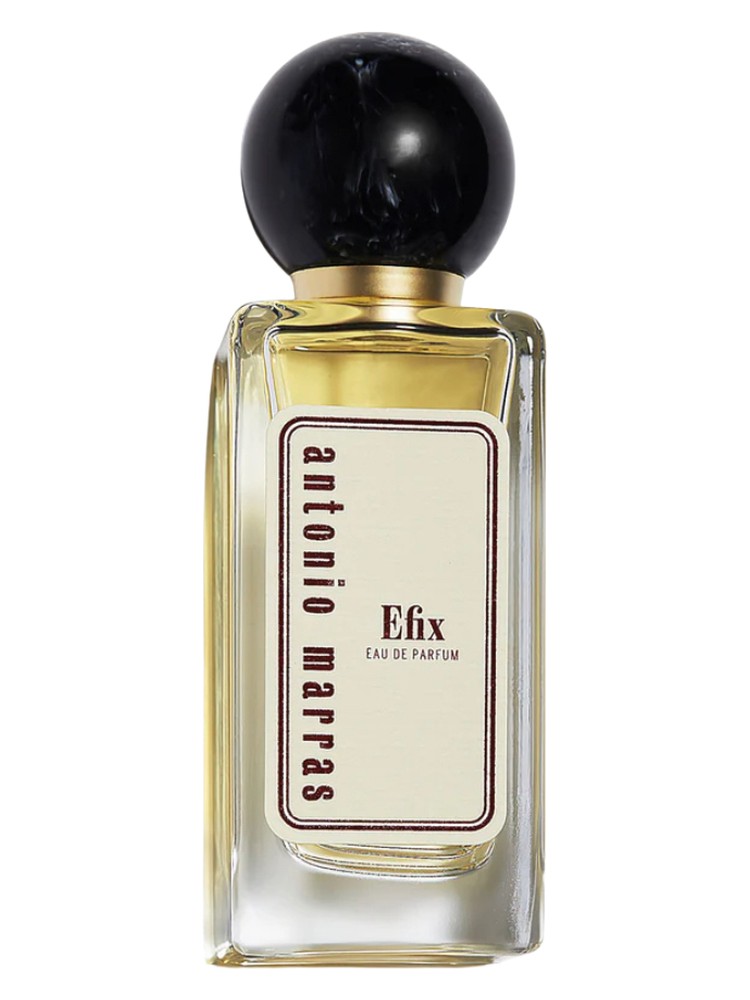 Efix