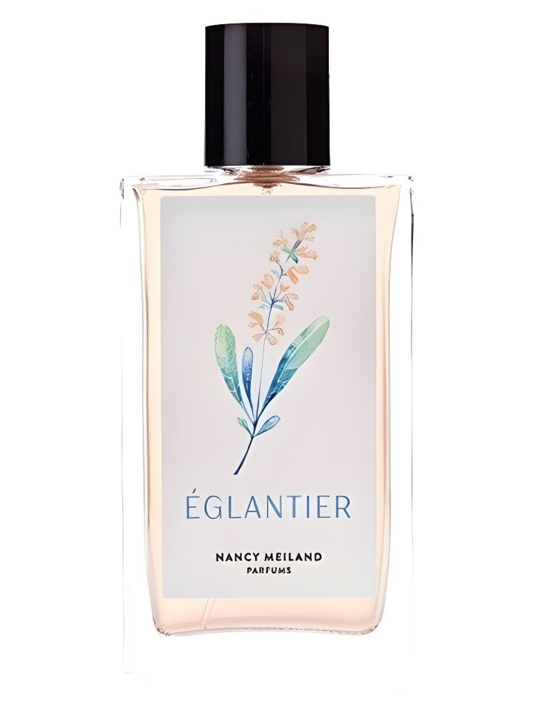 Églantier