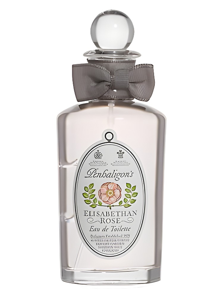 Elisabethan Rose - Vintage