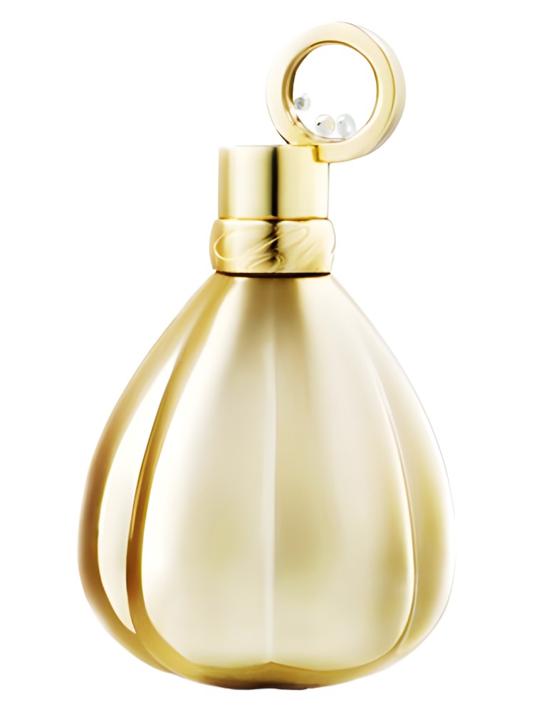 Enchanted Golden Absolute