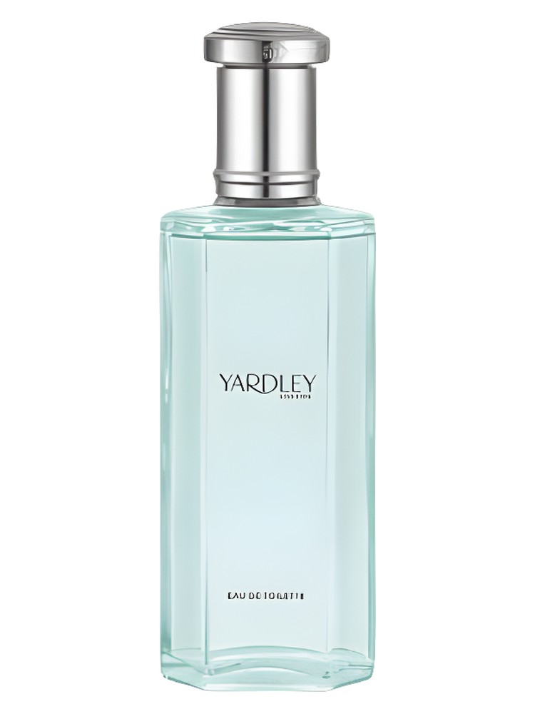 English Bluebell Contemporary Edition