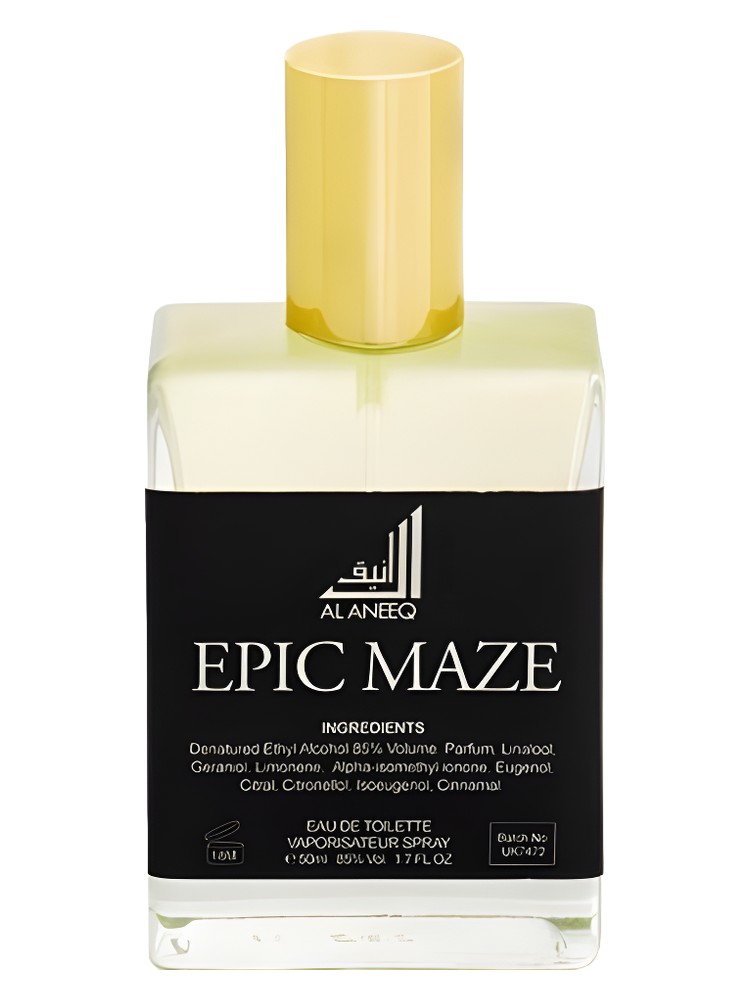 Epic Maze